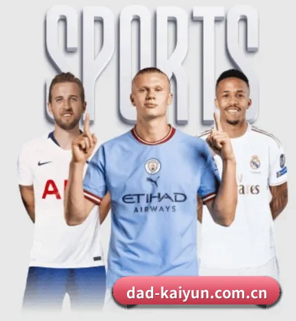 五大服务分区,信息按项目分类（kaiyun）